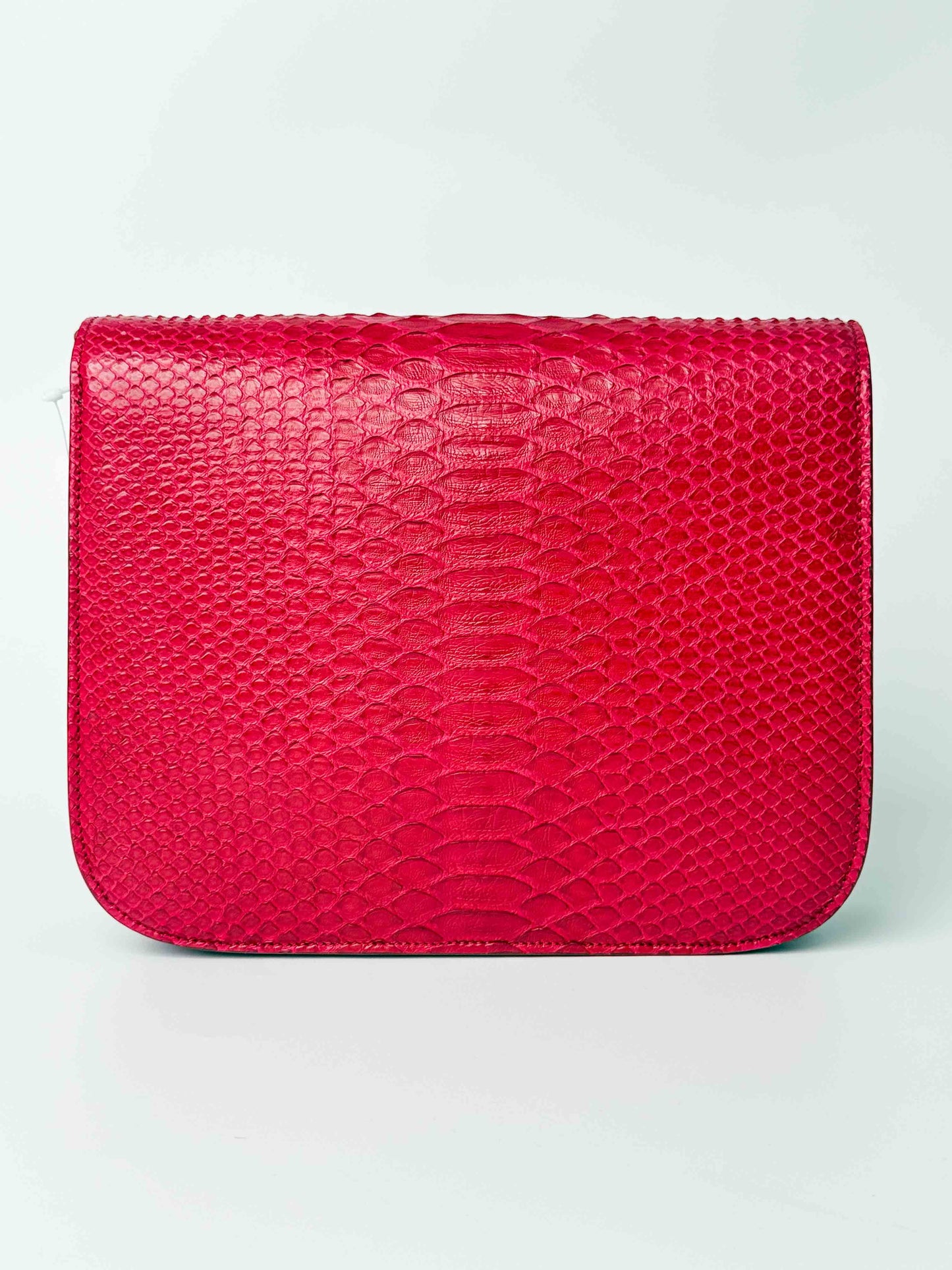 (A98) Celine Fuschia Pink Python Box Bag Gold Hardware