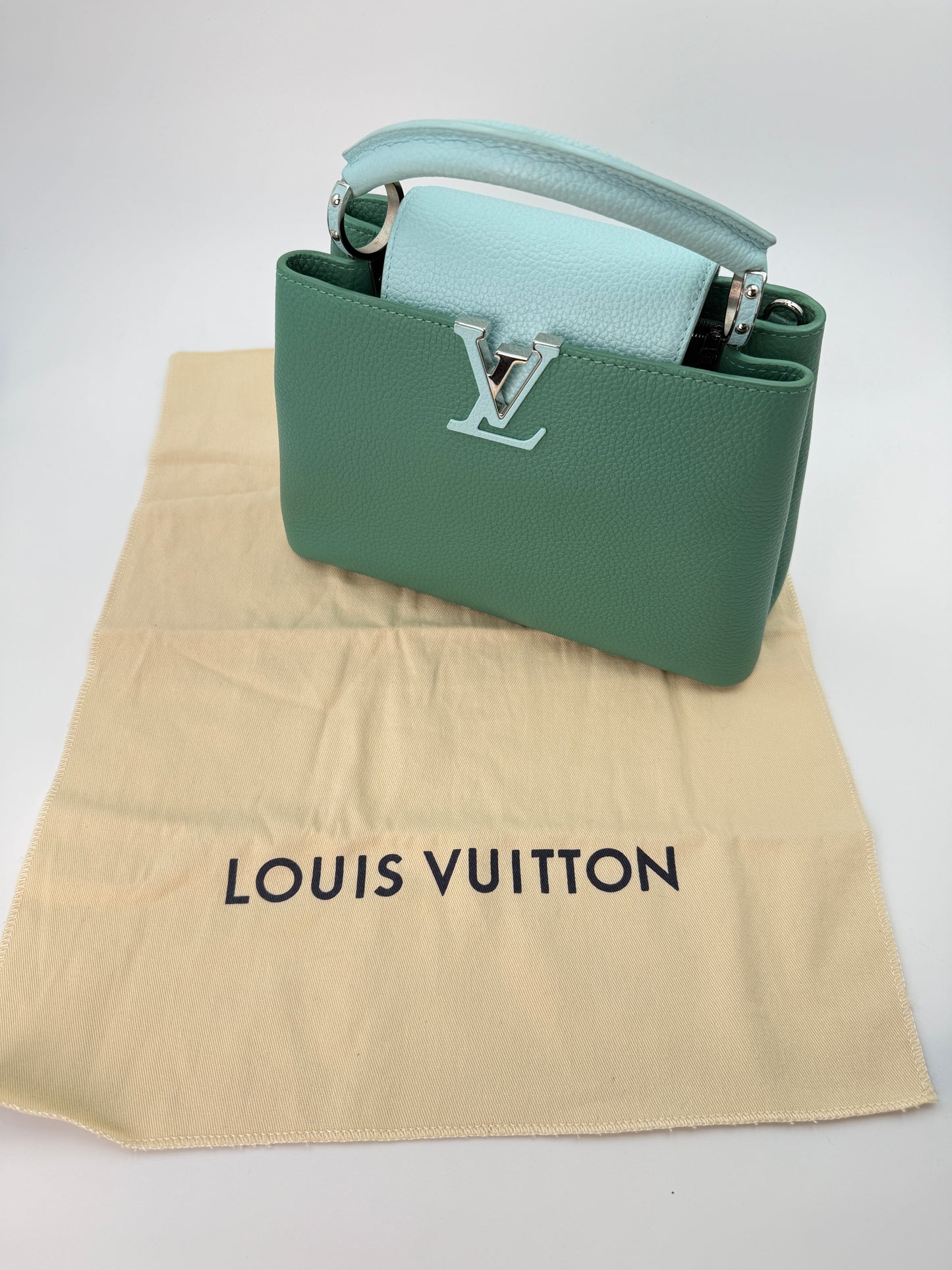 (AJ52) Louis Vuitton Green/Blue Calf Leather Taurillon Medium Capucines, Silver Hardware