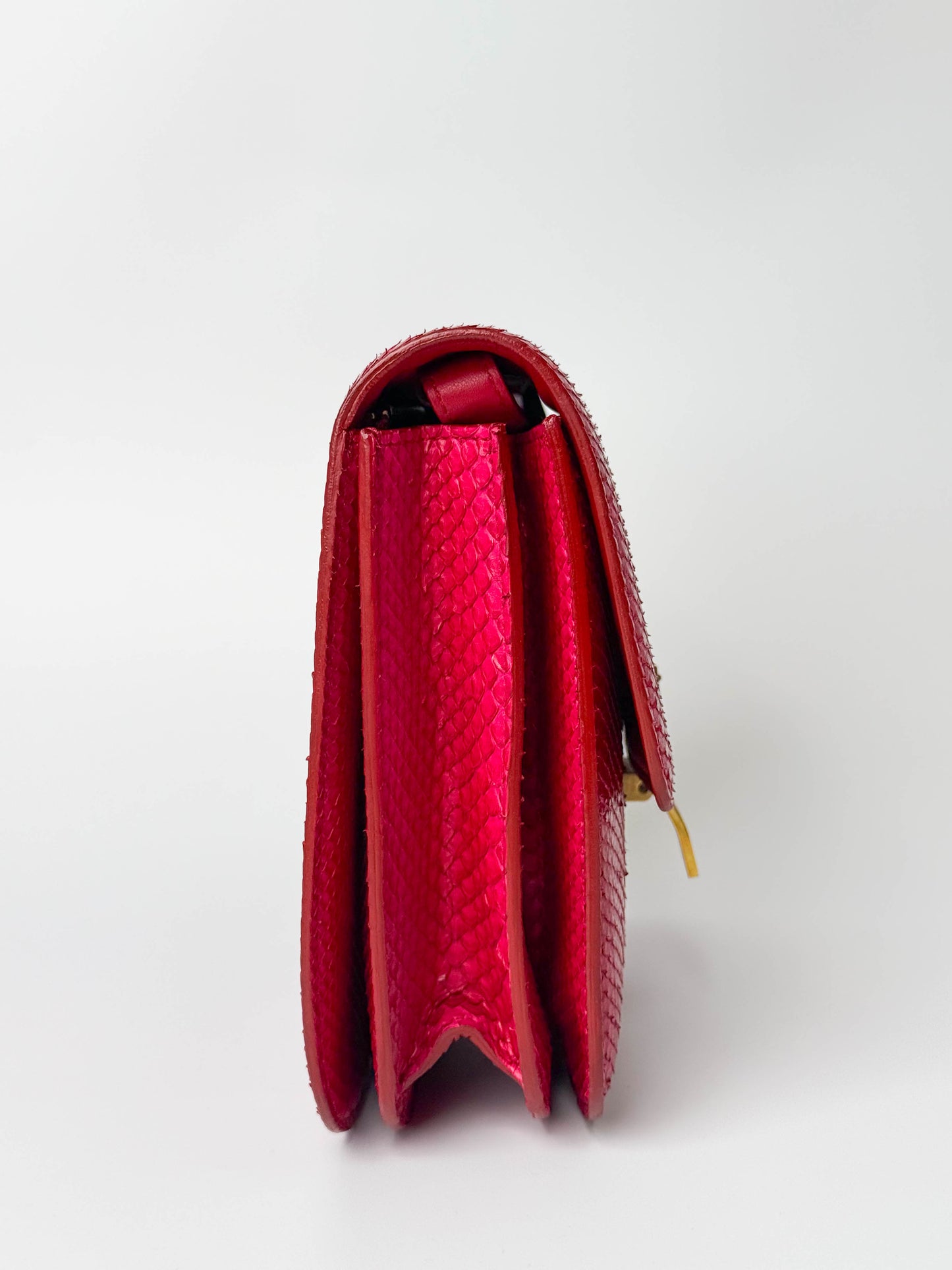 (A98) Celine Fuschia Pink Python Box Bag Gold Hardware