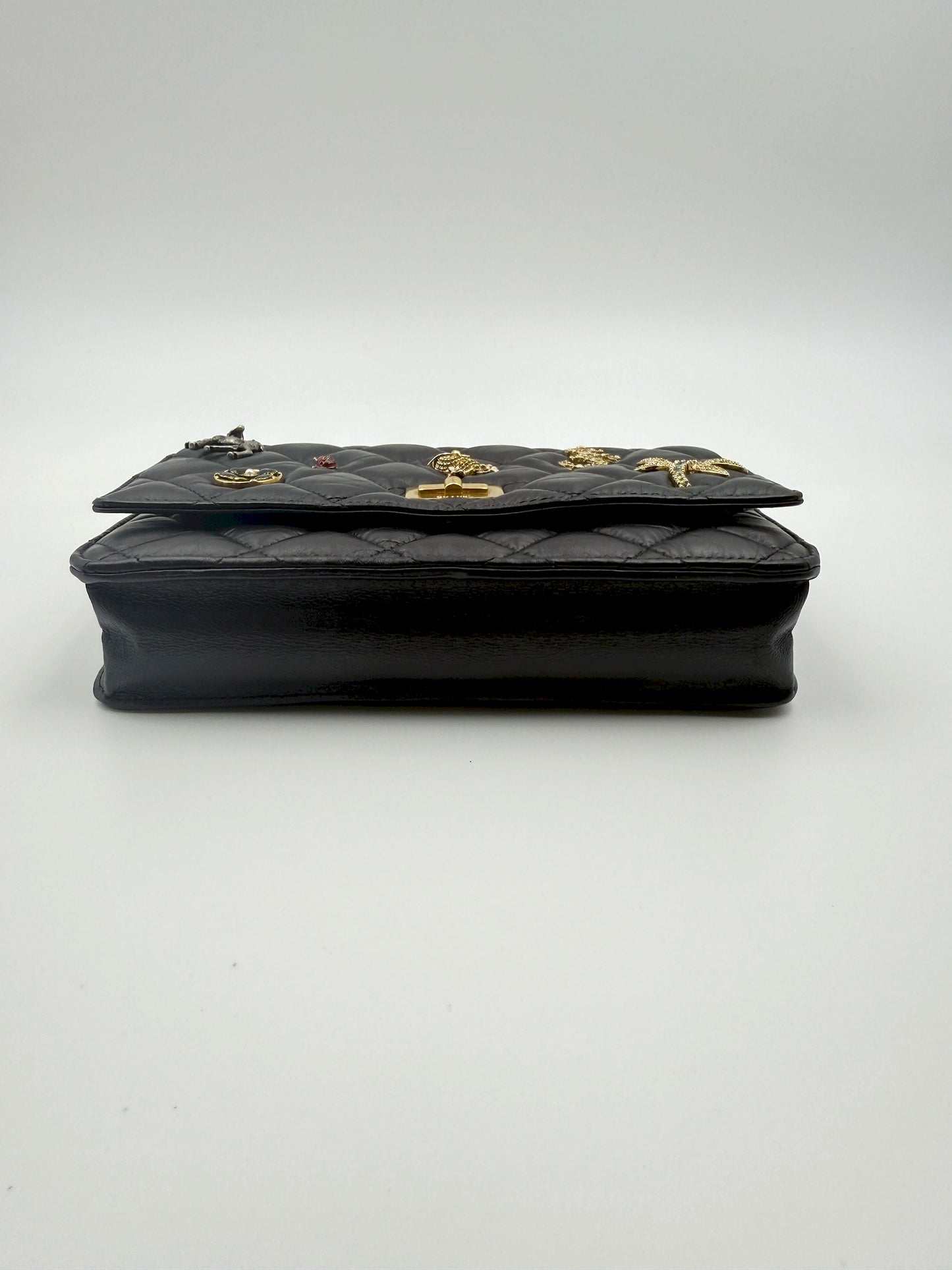 (AJ66) Chanel Lucky Charm Wallet on Chain